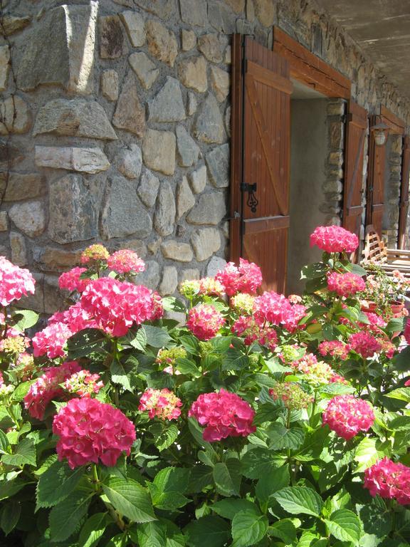 Chalet Solneige ヴォジャニー エクステリア 写真