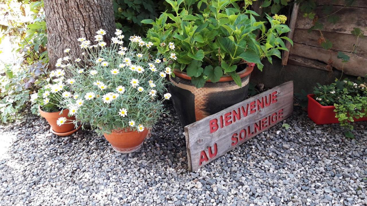 Chalet Solneige ヴォジャニー エクステリア 写真
